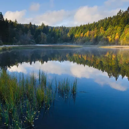 Haus Leufke Apartment Lenzkirch