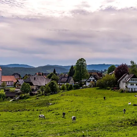 Haus Leufke Lenzkirch