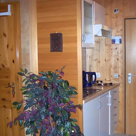 Apartment Haus Leufke Lenzkirch