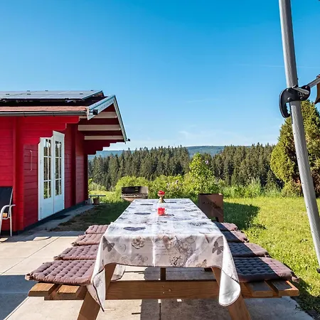 Apartment Haus Leufke Lenzkirch