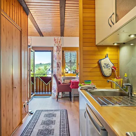 Appartement Haus Leufke Lenzkirch