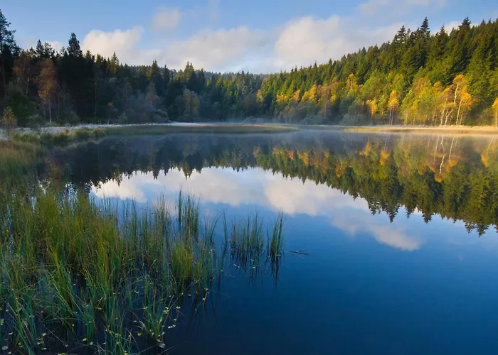 Haus Leufke アパート レンツキルヒ